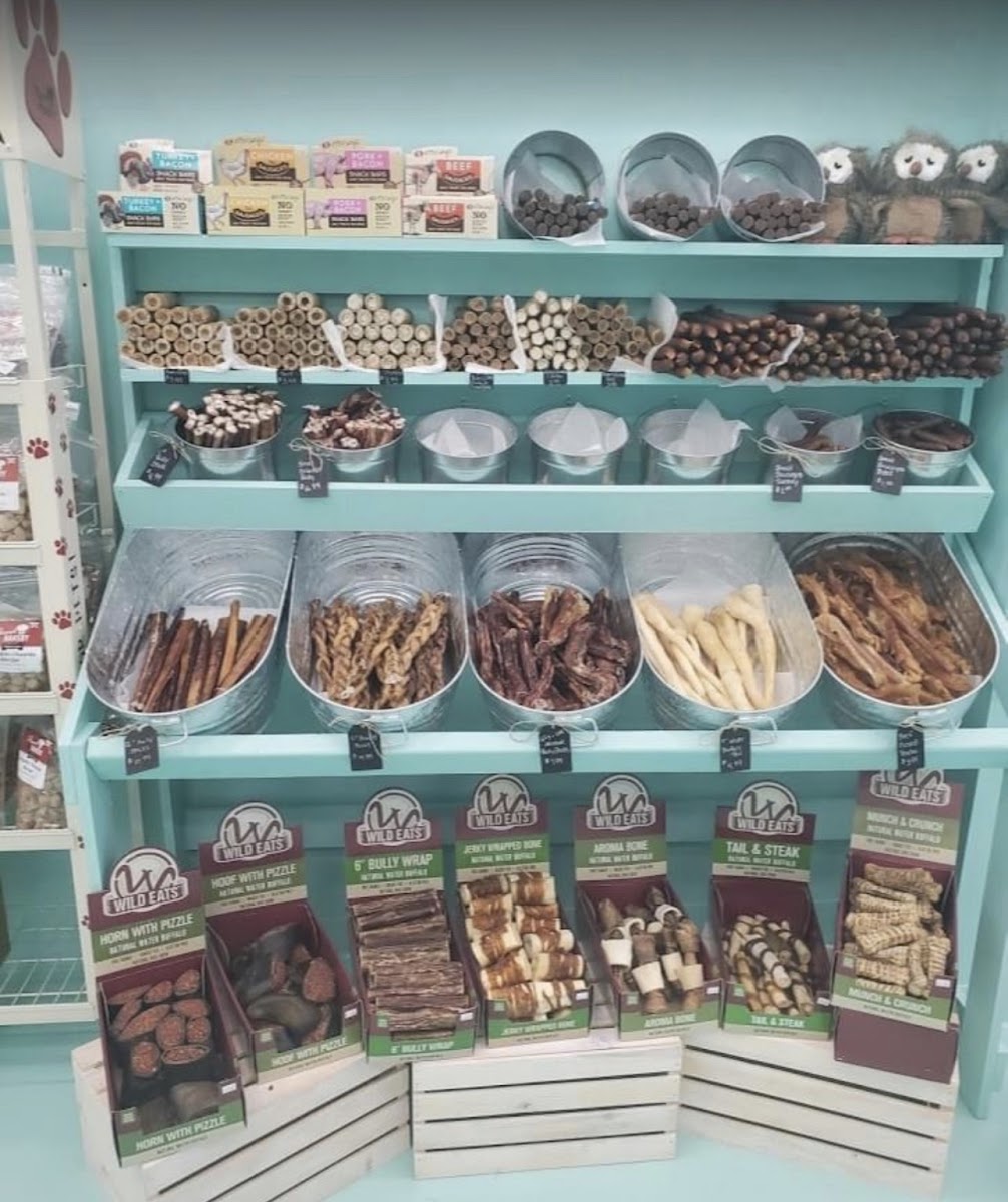 Salty Paws Doggy Ice Cream Bar And Bakery